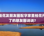 桂花发朋友圈配字家里桂花开了的朋友圈说说？
