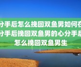 分手后怎么挽回双鱼男如何在分手后挽回双鱼男的心分手后怎么挽回双鱼男生
