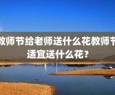 教师节给老师送什么花教师节适宜送什么花？