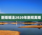 新婚姻法2020年新规离婚