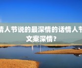 情人节说的最深情的话情人节文案深情？