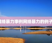 网络暴力事例网络暴力的例子？