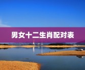 男女十二生肖配对表