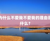 为什么不爱我不爱我的理由是什么？