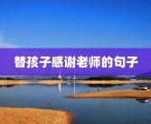 替孩子感谢老师的句子