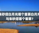 朱砂痣白月光哪个重要白月光与朱砂痣哪个重要？