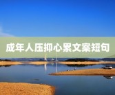 成年人压抑心累文案短句