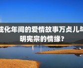 成化年间的爱情故事万贞儿与明宪宗的情缘？