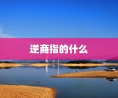 逆商指的什么