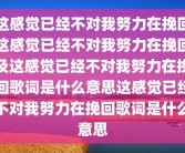 这感觉已经不对我努力在挽回这感觉已经不对我努力在挽回及这感觉已经不对我努力在挽回歌词是什么意思这感觉已经不对我努力在挽回歌词是什么意思