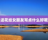 送花给女朋友写点什么好呢