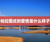 柏拉图式的爱情是什么样子