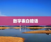 数字表白暗语