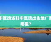 申军谊资料申军谊出生地广西哪里？