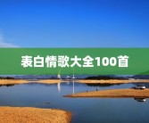 表白情歌大全100首