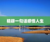 精辟一句话感悟人生