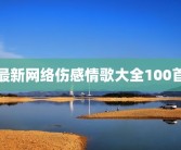 最新网络伤感情歌大全100首