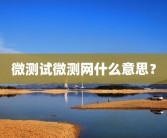 微测试微测网什么意思？
