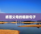 感恩父母的精辟句子
