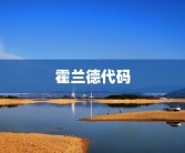 霍兰德代码