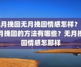 无月挽回无月挽回情感怎样？无月挽回的方法有哪些？无月挽回情感怎那样