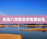 生辰八字取名字免费起名