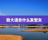 脸大适合什么发型女