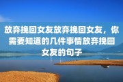 放弃挽回女友放弃挽回女友，你需要知道的几件事情放弃挽回女友的句子
