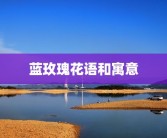 蓝玫瑰花语和寓意
