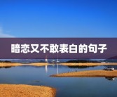 暗恋又不敢表白的句子
