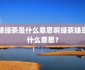 婊绿茶是什么意思啊绿茶婊是什么意思？