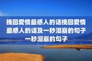 挽回爱情最感人的话挽回爱情最感人的话及一秒泪崩的句子一秒泪崩的句子