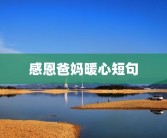 感恩爸妈暖心短句