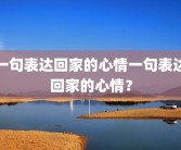 一句表达回家的心情一句表达回家的心情？
