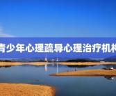 青少年心理疏导心理治疗机构