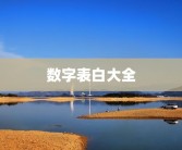 数字表白大全