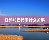 红颜知己代表什么关系