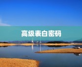 高级表白密码