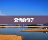 爱情的句子