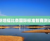 斯坦福比奈国际标准智商测试