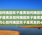 如何挽回双子座男如何挽回双子座男及如何挽回双子座男友的心如何挽回双子座男友的心