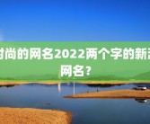 时尚的网名2022两个字的新潮网名？