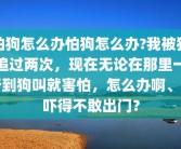 怕狗怎么办怕狗怎么办?我被狗追过两次，现在无论在那里一听到狗叫就害怕，怎么办啊、被吓得不敢出门？