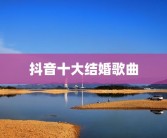 抖音十大结婚歌曲