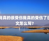 我真的很受伤我真的受伤了日文怎么写？