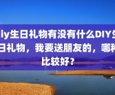 diy生日礼物有没有什么DIY生日礼物，我要送朋友的，哪种比较好？