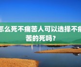怎么死不痛苦人可以选择不痛苦的死吗？