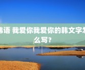韩语 我爱你我爱你的韩文字怎么写？