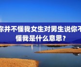 你并不懂我女生对男生说你不懂我是什么意思？