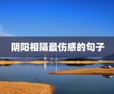 阴阳相隔最伤感的句子